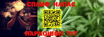 МДПВ Заводоуковск